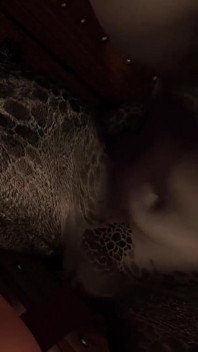 Lusty Argonian maid spreads her legs : Skyrim 3D porn parody