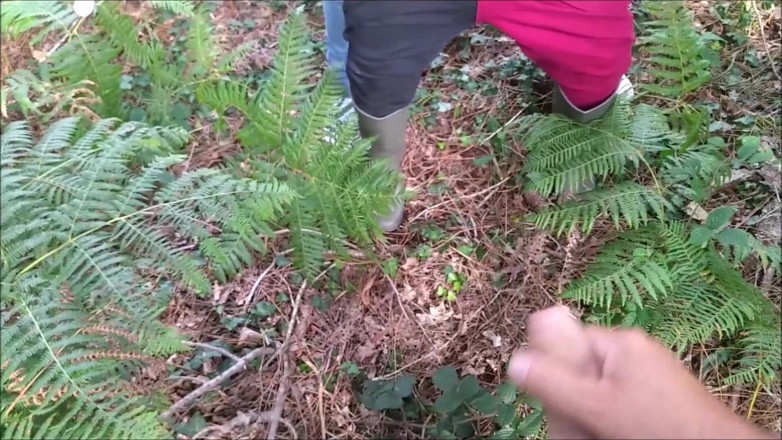 K Vw: Ungeplant im wald