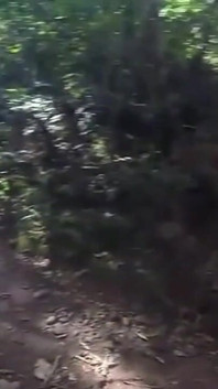 Handjob in the Waterfall Cumming with Soft Cock
