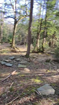 Cruisen Voor Meisje in Het Bos POV