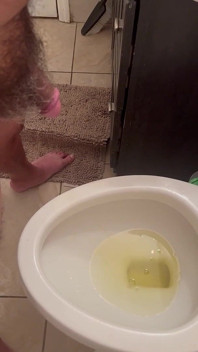 Pissen zu hause auf der toilette