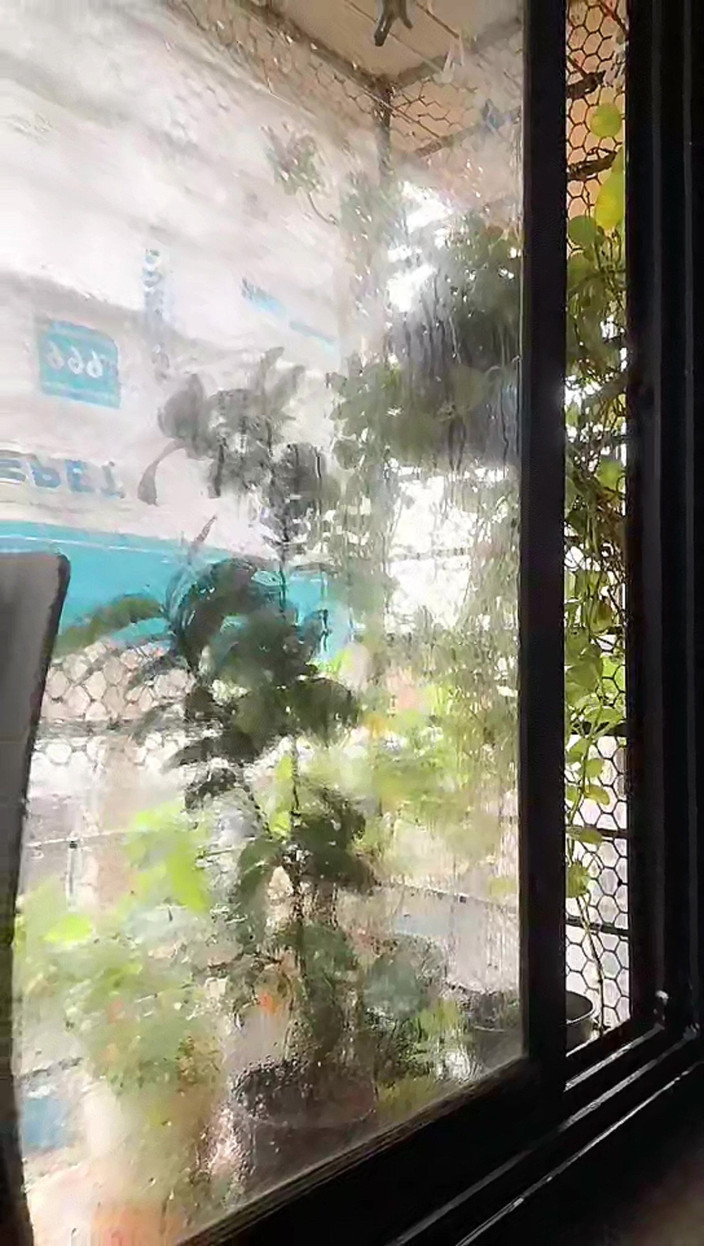 Zoyasazadai: Zoya Shezadi en la sala de estar disfruta sola sintiéndose...