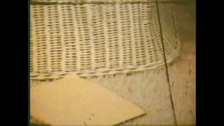 Vintage Megastore Full hd: Il Porco Eccitatore