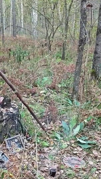 O vrăjitoare din pădure face ritualuri, seduce un tip și îl fute