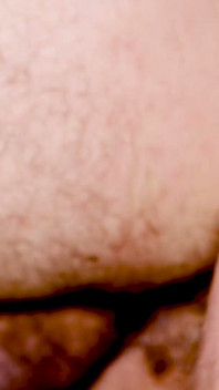 Sessão de banho entre peludos