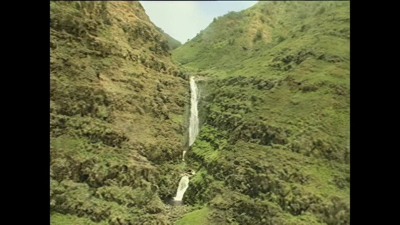 Blitzporn: Dois Grandes Pênis Na Noite Alta Para Allysin Chaynes
