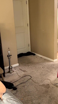 Jaylynn at Home