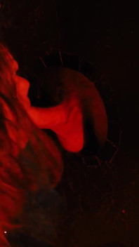 Little Shop of Terrors Featuring Dana Vespoli