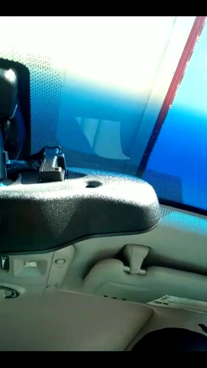 His Queen Suga: Schnelle Überprüfung des Rosenvibrators