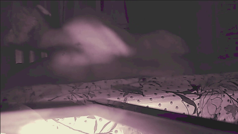 Jollyfuckingoldman: Lei Dice Di No Anale Ma Lui Non Prende No...