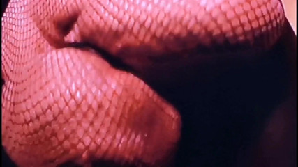 Monster_Meat_: Fantasías interesantes