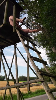 Xxl Orinando Desde Arriba En El Bosque
