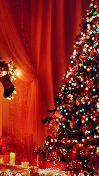 La soirée de Noël la plus sexy avec Garabas et Olpr