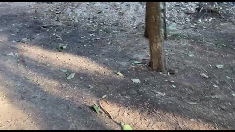 Lidi Ferrari: Ik ging met de knappe jongen het bos in, het...