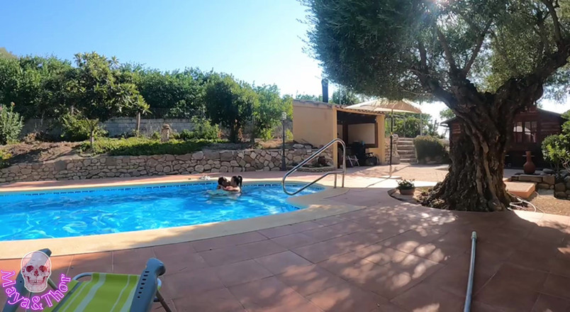 Mayay Thor X: 大屁股素人人妻非常热辣，在游泳池里被狠操