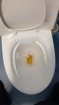 Pissing