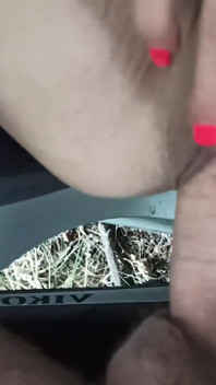 Masturbation and Fuck in the Car