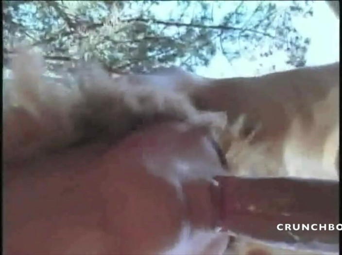 Shemale videos: Blondynka shemale używana przez prostego chłopca w exhib