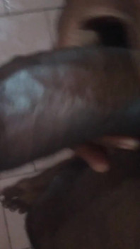 Tamil10inchesbbc Sexy Morning Wood Session on 07 Aug 2025