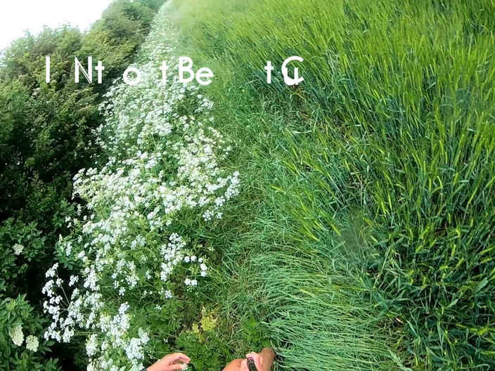 Andy: Plimbare 29 2025