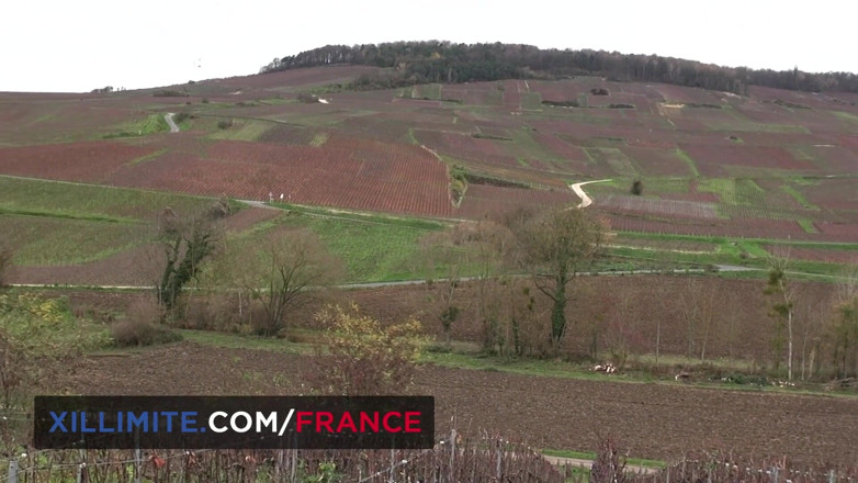 Made In France: Threesome with Luna Rival and 2 hunters