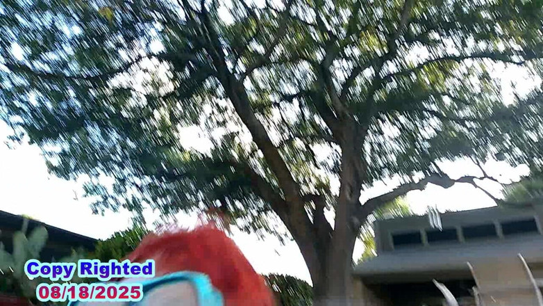 BBW nurse Vicki adventures with friends: 젖은 야생의 태양 전체 비디오