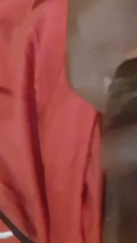 Jack Said Cum
