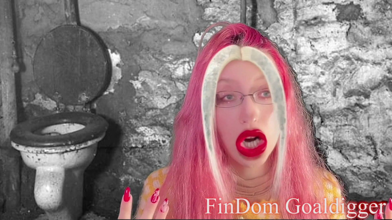 FinDom Goaldigger: ゴールドトイレの変身