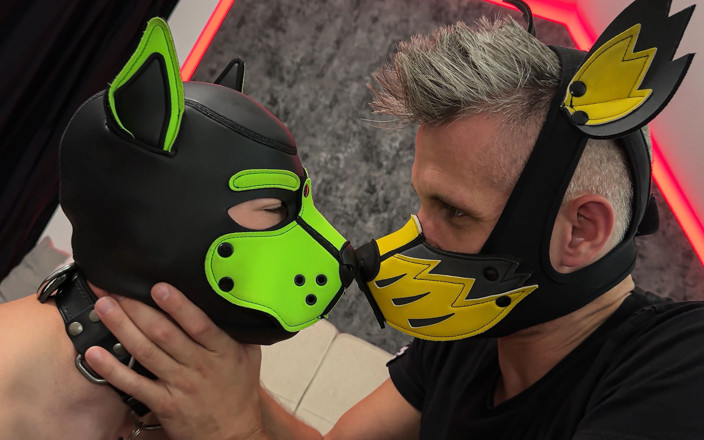 Project Y studios: Ich habe dir etwas mitgebracht