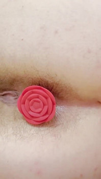 Plug Play