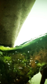 Moje orálová puppet