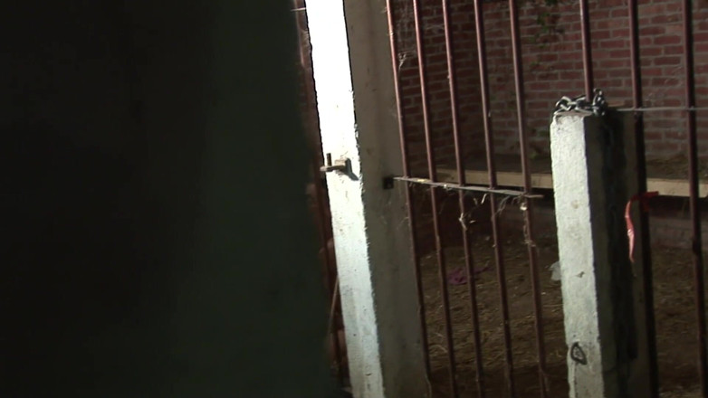 CBD Media: Petite brunette teen prisoner sucks an old man's hard dick