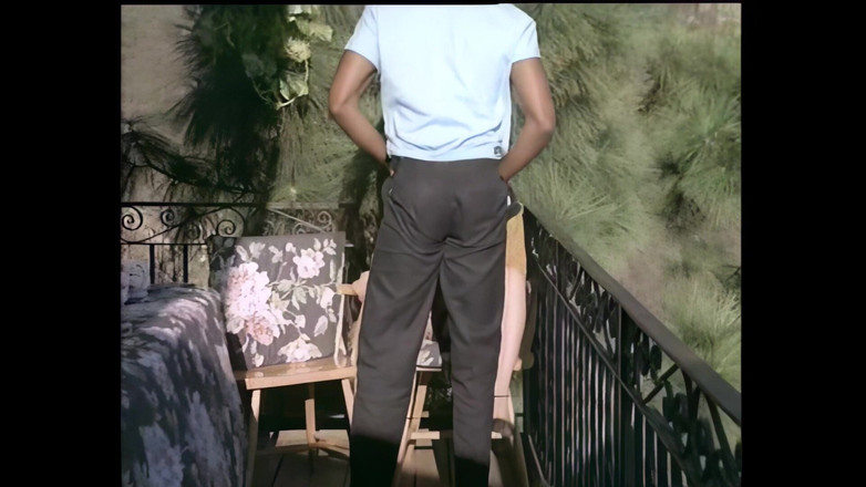 Vintage megastore: Beyaz sürtük ırklararası sikiş için büyük siyah yarağın tadını çıkarıyor