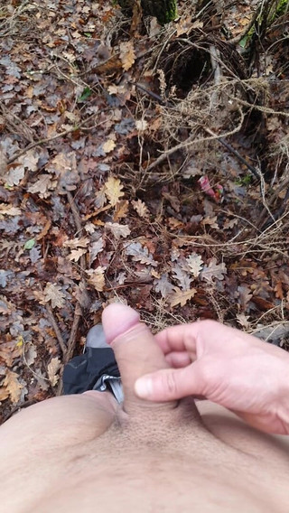 Timmyboy: Timmyboy ho fatto una corsa nei boschi e mi sono...