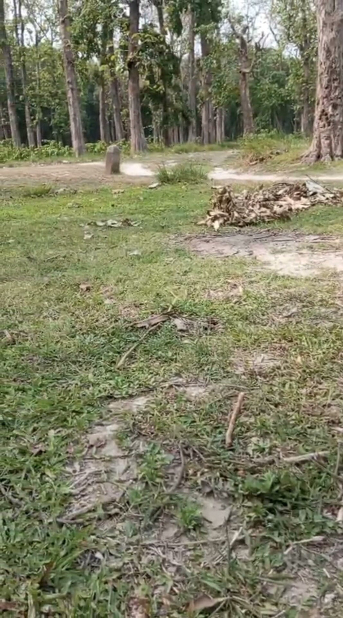 YangZi 69: Jangal Me Chut Ka Maggal