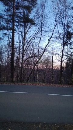 kickerscooter: 私は見知らぬ人に公共の場で自慰行為をしているところを見つかりました