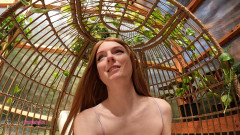 Destination Kat: Pișându-se pe apel video Gfe