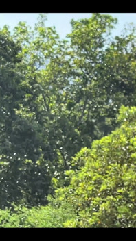 Wild & Milky: Nature Shower Edition Milky Super Power