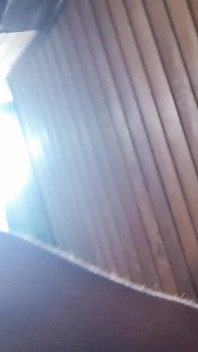 Steam Room Tension - Bear Sauna Encounter