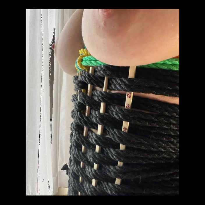 Suzy Wylde: 팬티, 보지와 솔로 모음집