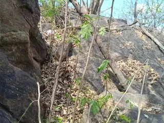 Teacher Enjoying Outdoor Romance