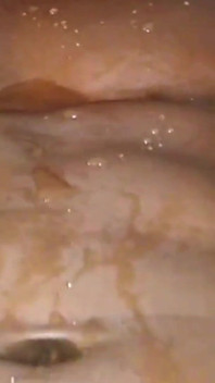 Youngenglishbbw sucking BBC Nata4sex fingering my pussySquirting hard