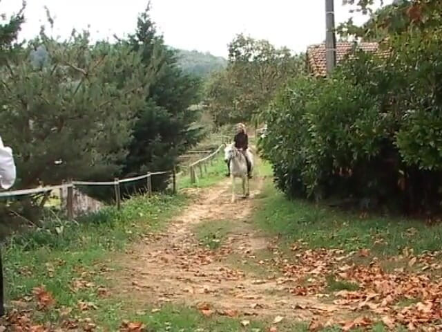 Forte porno TV xxx - (Just the best full movies): Cavalerii sexului - (Film complet)