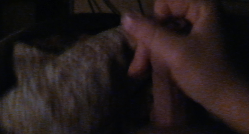 Horny Boy 18 year: 青少年小子