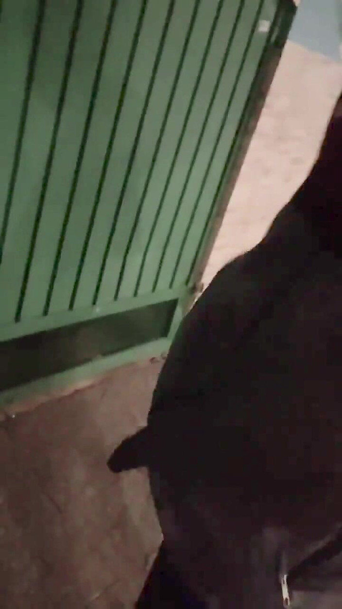 Vida Noite: Нічого більше зв'язку, ніж оголосити про ваше навантаження, і ваш брат підбадьорює вас