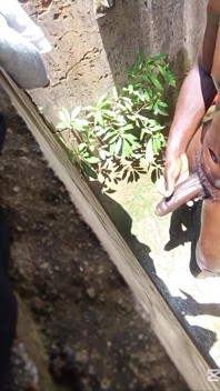 BBC Roughly Handled Outdoor Massage