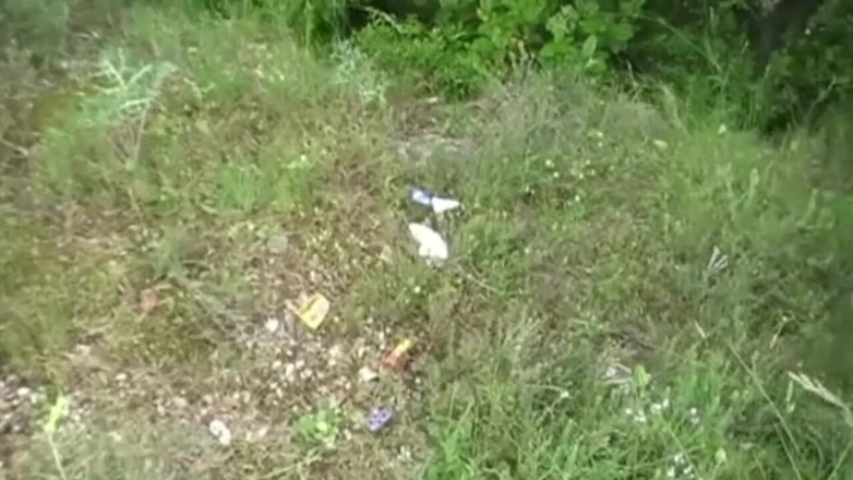 Jess Royan XXX: Baisée par tout droit dans la voiture en plein air