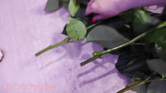 FinDom Goaldigger: Dva romantické paroháčské příběhy