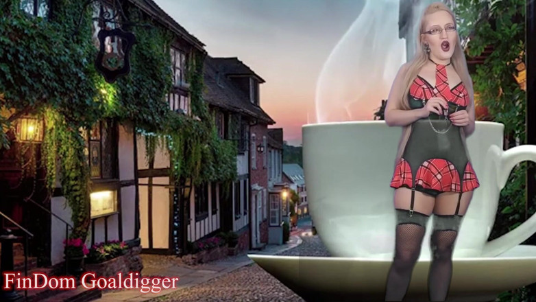 FinDom Goaldigger: First chastity cage lesson