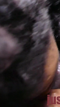 Li Golden Blowjob